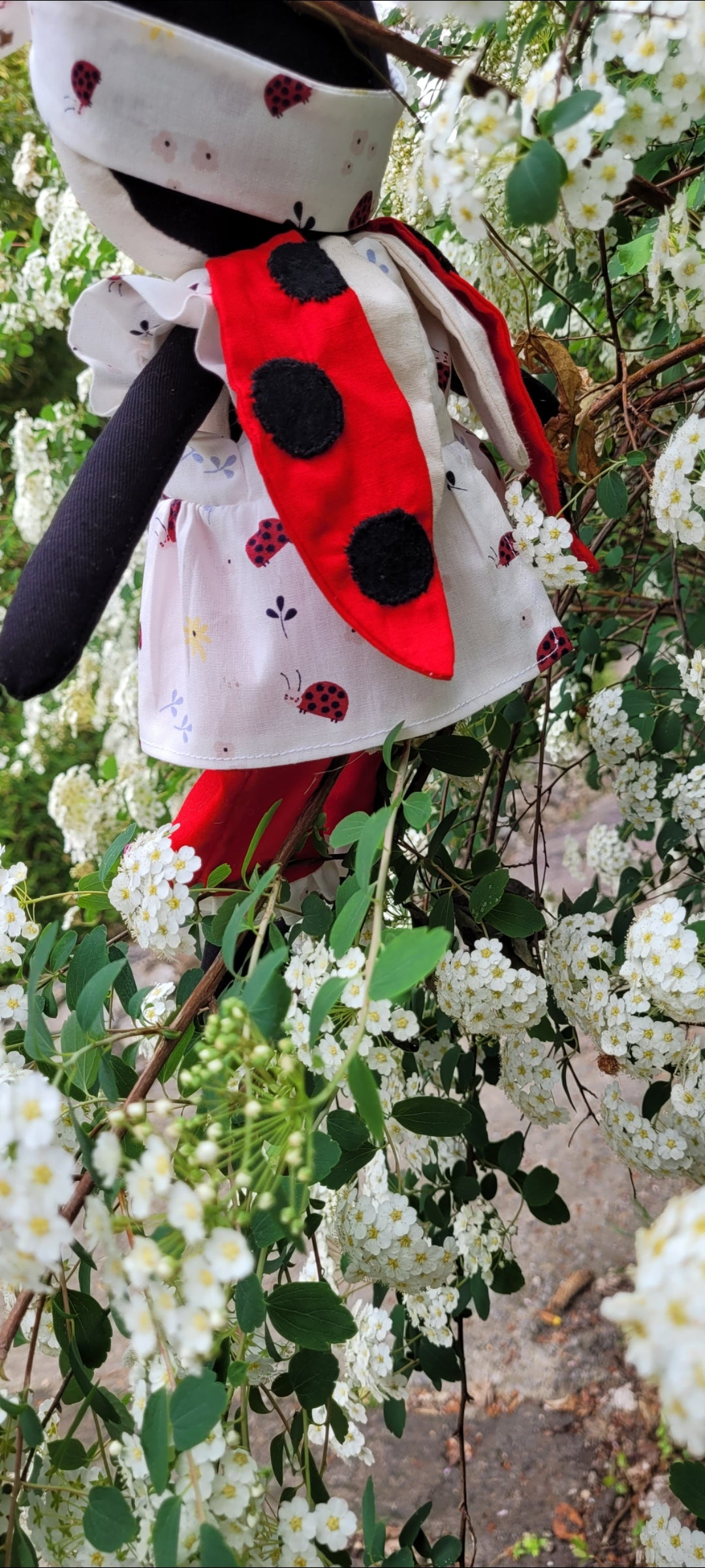 Lily la Coccinelle, petite étoile porte-bonheur