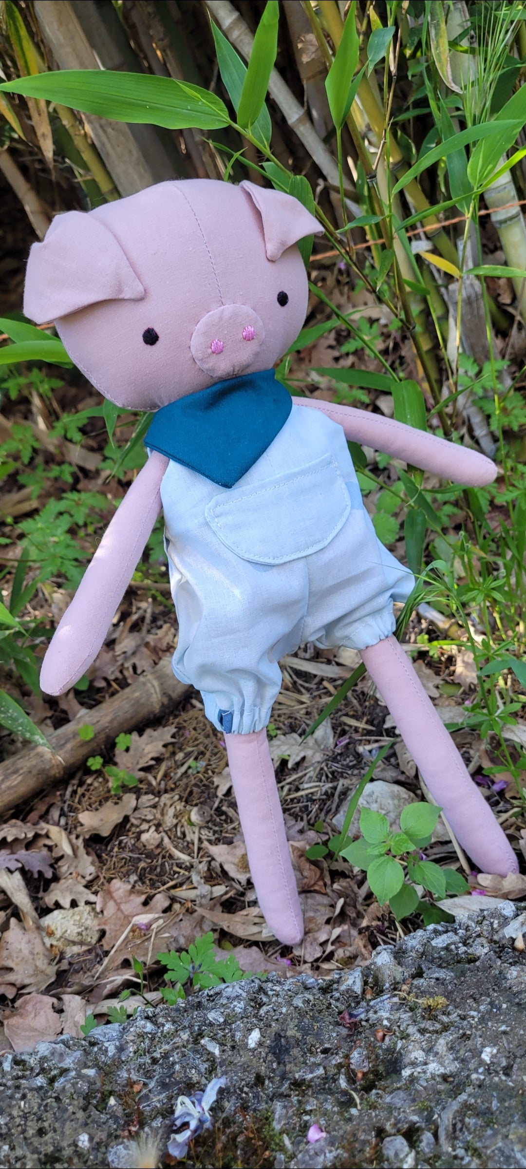 Raymond le Cochon : l’Ami Doux au Grand Cœur