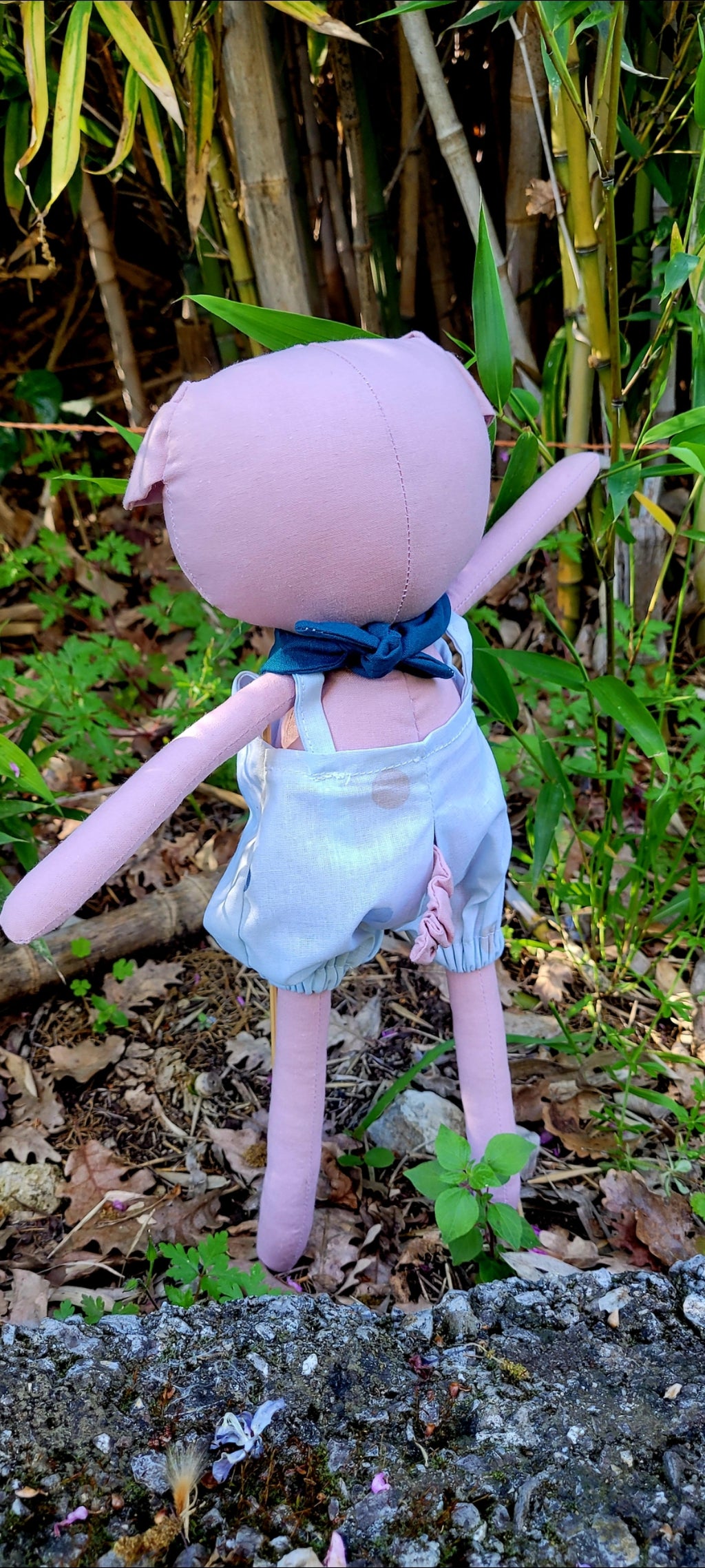 Raymond le Cochon : l’Ami Doux au Grand Cœur