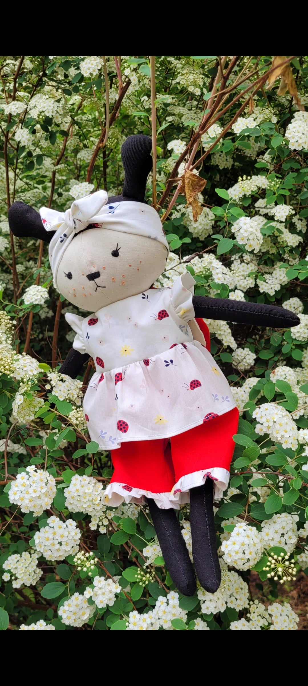 Lily la Coccinelle, petite étoile porte-bonheur