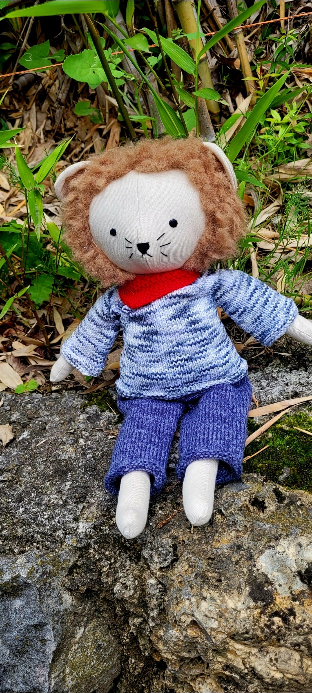 Léo le Lion, le Roi Doux de la Savane