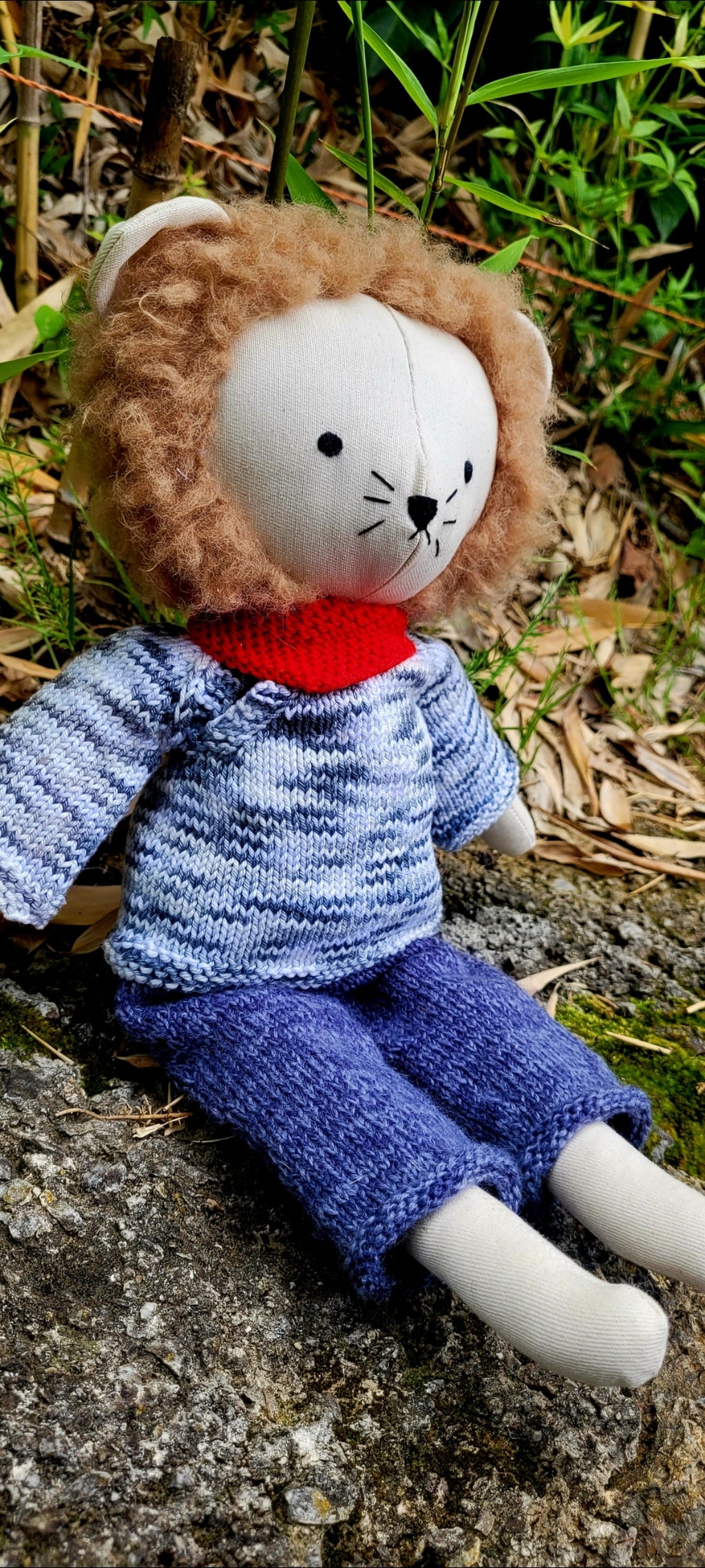 Léo le Lion, le Roi Doux de la Savane